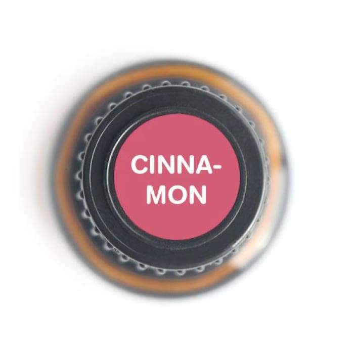 Cinnamon Bark Pure Essential Oil - 15ml